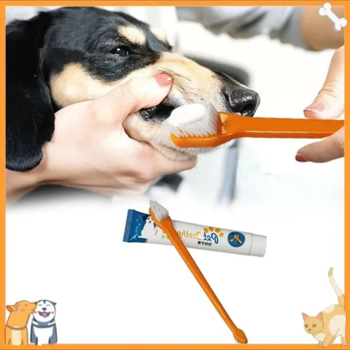 Long Toothbrush for Dog, Cat, pets toothbrush Silicon Glamor Tooth brush